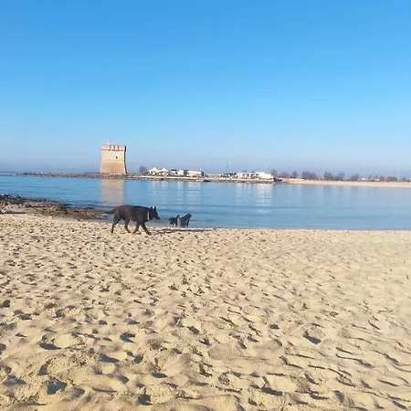 Rosyanna - Confort By The Sea