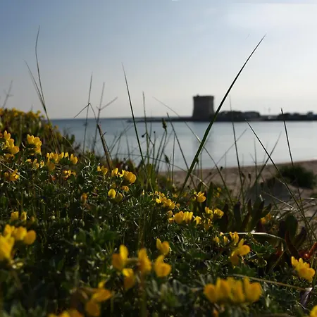 Rosyanna - Confort By The Sea Porto Cesareo